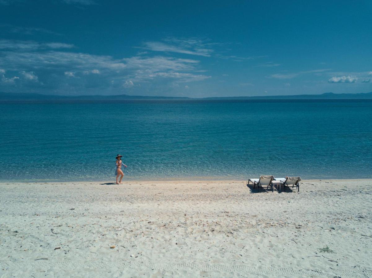 بوليخرونو Summer In المظهر الخارجي الصورة